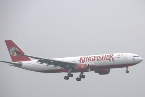Hình minh họa từ kingfisher - chim bói cá