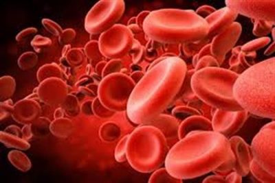 Hình minh họa từ Blood - Máu