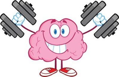 Hình minh họa từ Brain - Não