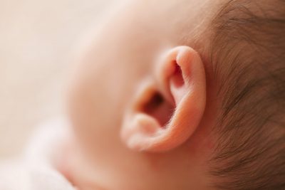 Hình minh họa từ Ear - Tai