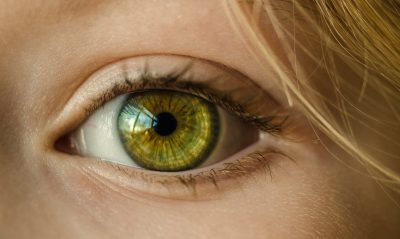Hình minh họa từ Eye - Mắt