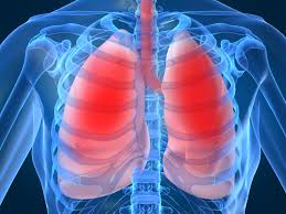 Hình minh họa từ Lung - Phổi