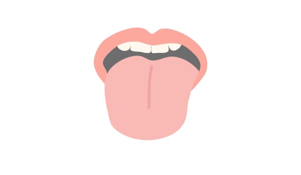 Hình minh họa từ Tongue - Lưỡi