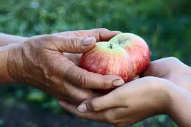 Hình minh họa từ Generous - Hào phóng