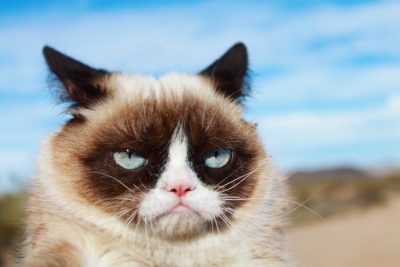 Hình minh họa từ Grumpy - Cáu kỉnh, khó chịu