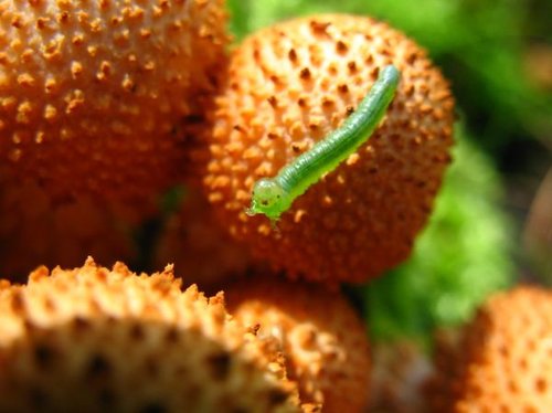 Hình minh họa từ Astonished - Kinh ngạc sững sờ, ngạc nhiên tột độ