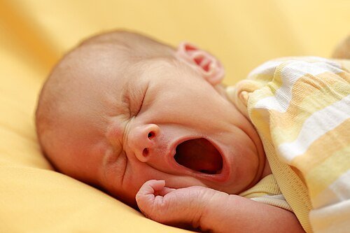 Hình minh họa từ Newborn - Em bé mới chào đời, trẻ sơ sinh