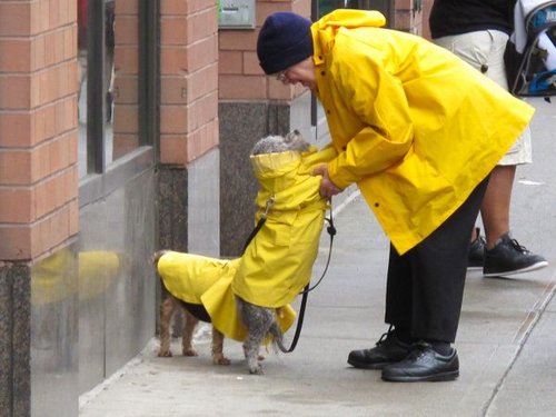Hình minh họa từ raincoat - áo mưa tiện dụng