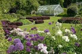 Imagen de Garden - Jardín