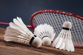 Imagen de Badminton - Bádminton
