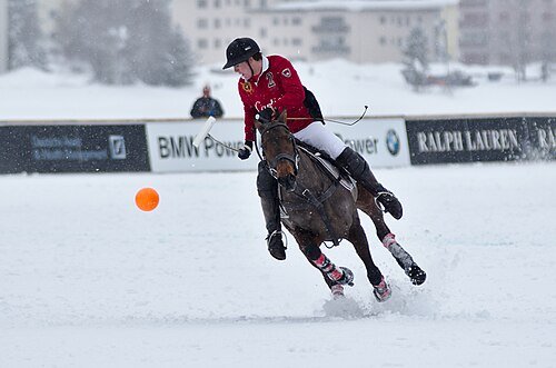 Hình minh họa từ equestrian - môn đua ngựa thể thao quý tộc