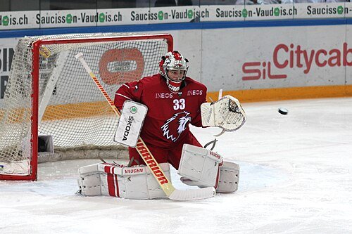Hình minh họa từ ice hockey - môn khúc côn cầu trên băng