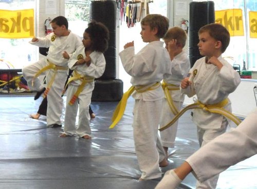Hình minh họa từ Martial arts - Võ thuật