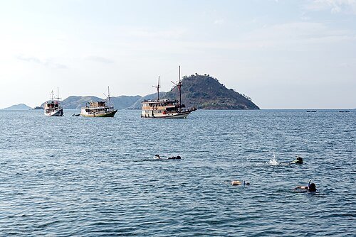 Hình minh họa từ snorkeling - lặn biển bằng ống thở nông