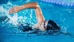 Hình minh họa từ Swimming - Môn bơi lội