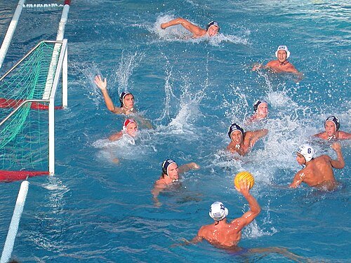 Hình minh họa từ water polo - môn bóng nước đồng đội