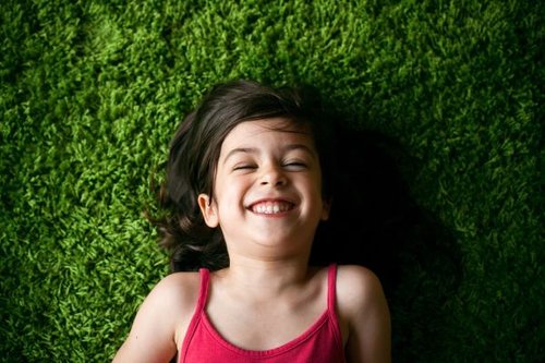 Hình minh họa từ Evergreen - Cây thường xanh quanh năm