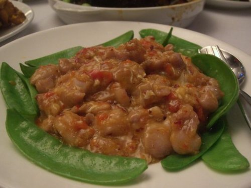Hình minh họa từ parsley - rau mùi tây / cần tây trang trí