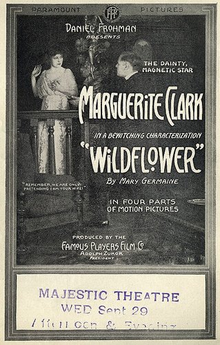 Imagen de Wildflower - flor silvestre