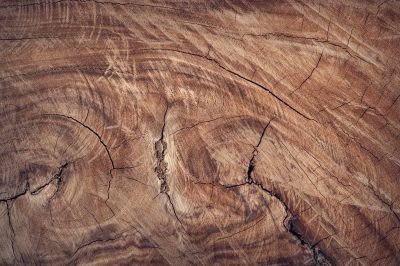 Hình minh họa từ Wood - Gỗ
