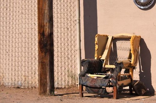 Hình minh họa từ upholstery - vải hoặc da bọc ghế đệm