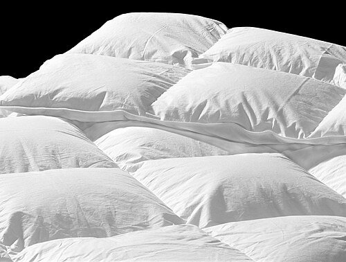 Hình minh họa từ Duvet - Chăn bông ấm