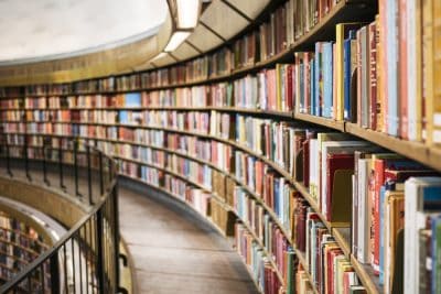 Hình minh họa từ Library - Thư viện