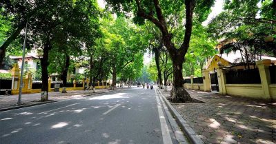 Hình minh họa từ Street - Phố