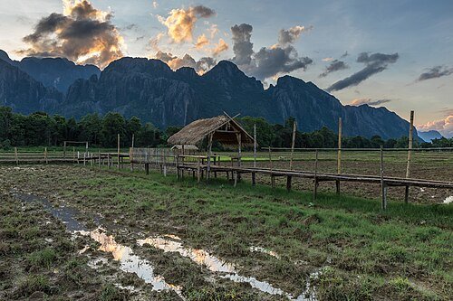 Hình minh họa từ walkway - lối đi bộ râm mát