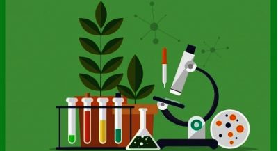 Hình minh họa từ Biology - Sinh học
