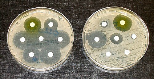 Hình minh họa từ antibiotic - thuốc kháng sinh