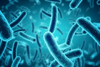 Hình minh họa từ Disease - Căn bệnh