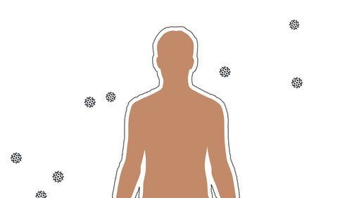 Hình minh họa từ Immunity - Hệ miễn dịch