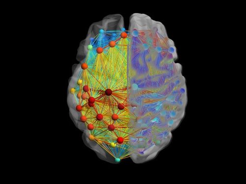 Hình minh họa từ neurology - chuyên khoa thần kinh học