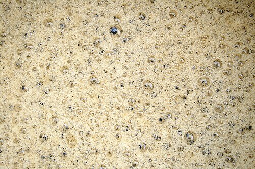 Hình minh họa từ brewing - thú vui tự pha ủ trà cà phê bia