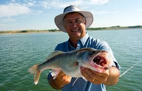 Hình minh họa từ Fishing - Câu cá