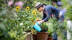 Hình minh họa từ Gardening - Làm vườn