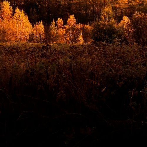 Hình minh họa từ overture - khúc dạo đầu mở màn vở nhạc kịch