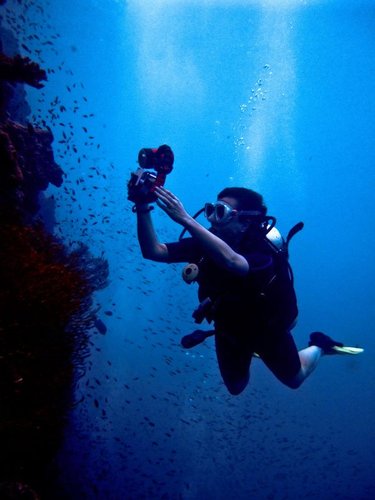 Hình minh họa từ Scuba diving - Lặn biển có bình khí nén