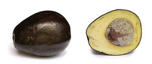 Hình minh họa từ Avocado - Quả bơ