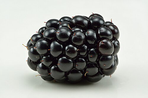 Hình minh họa từ Blackberry - Quả mâm xôi đen