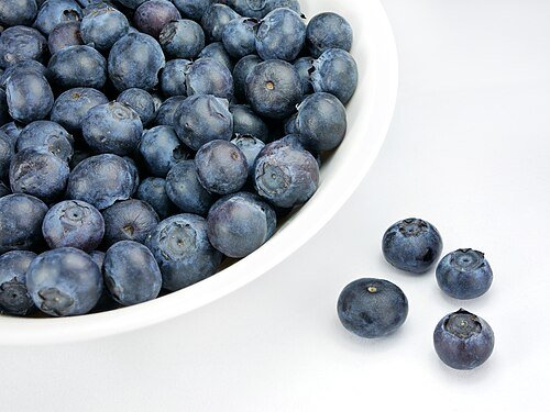 Hình minh họa từ Blueberry - Quả việt quất
