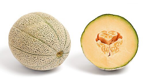 Imagen de Cantaloupe - Cantalupo