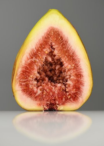 Hình minh họa từ Fig - Quả sung, quả vả