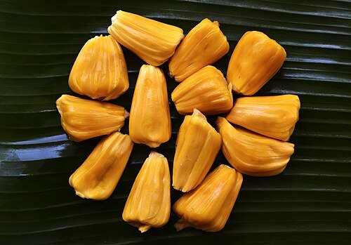 Hình minh họa từ Jackfruit - Quả mít