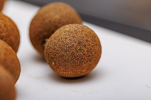 Hình minh họa từ Longan - Quả nhãn