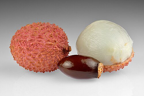 Hình minh họa từ Lychee - Quả vải thiều