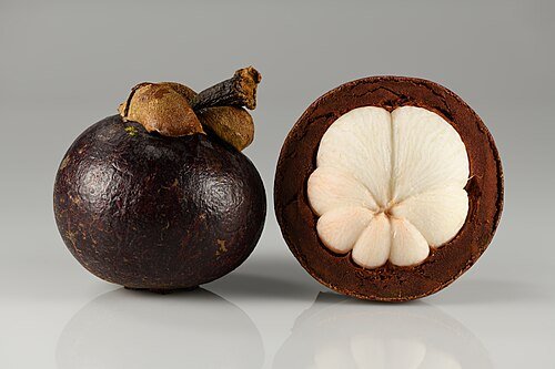 Hình minh họa từ Mangosteen - Quả măng cụt