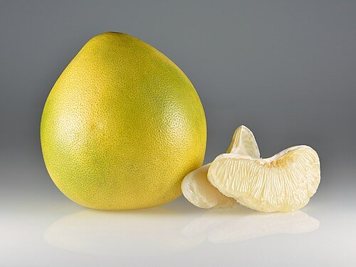 Hình minh họa từ pomelo - quả bưởi