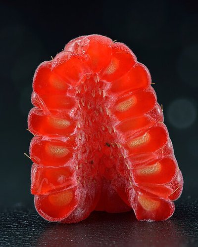 Hình minh họa từ Raspberry - Quả mâm xôi